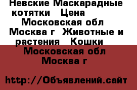 Невские Маскарадные котятки › Цена ­ 5 750 - Московская обл., Москва г. Животные и растения » Кошки   . Московская обл.,Москва г.